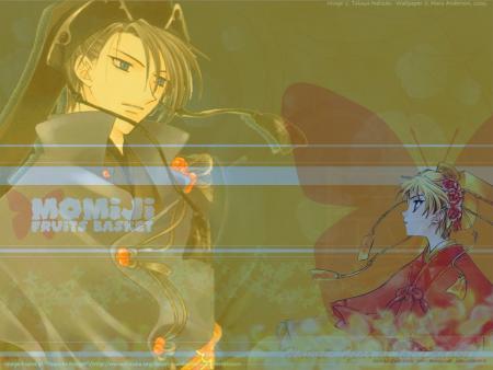 fruits basket